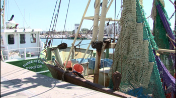 Photo de l'événement