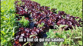 Photo de l'événement